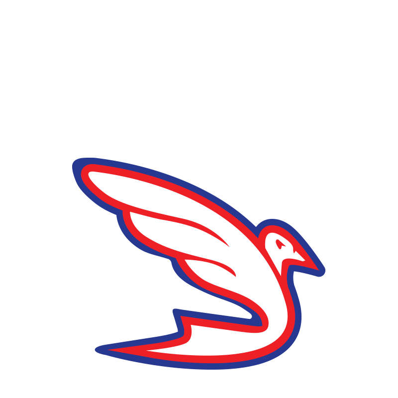 2017-logo-doves-bologna