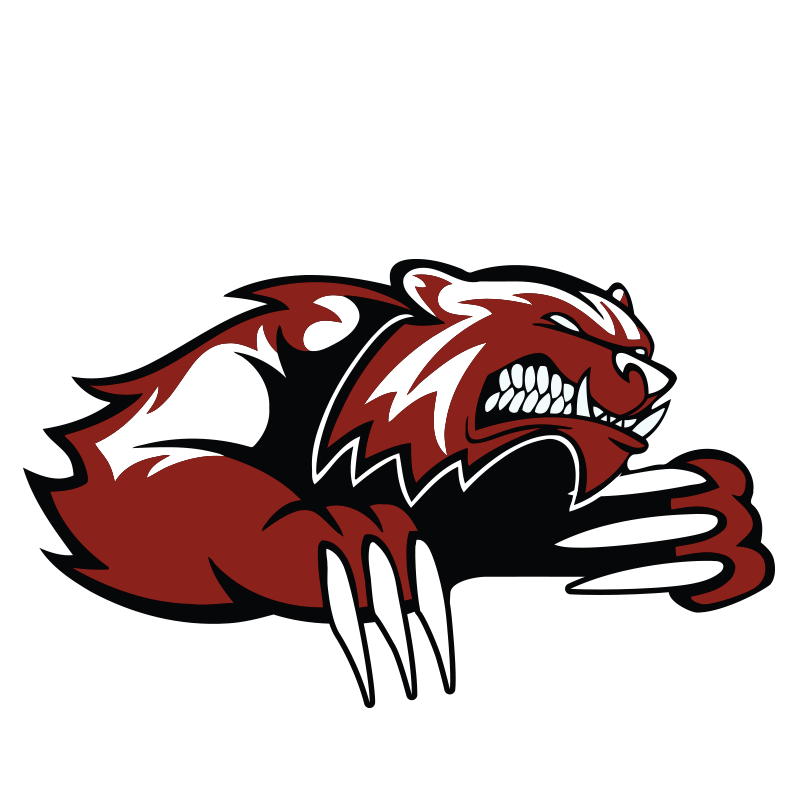 2017-logo-wolverines-piacenza
